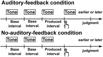 Auditory Feedback Assists Post hoc Error Correction of Temporal Reproduction, and Perception of Self-Produced Time Intervals in Subsecond Range